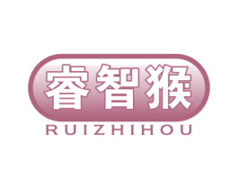 睿智猴 第9类科学仪器商标图样