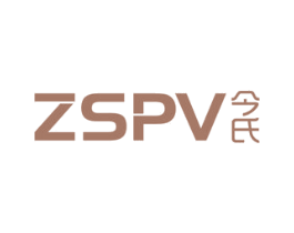 ZSPV 今氏 第9类科学仪器商标图样