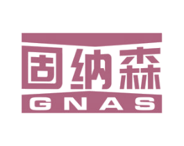 固纳森 GNAS 第2类颜料油漆商标图样