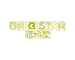 蓓极星 BRIGISTAR 第18类皮革箱包商标图样