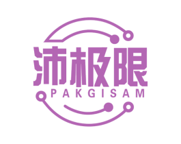 沛极限 PAKGISAM 第9类科学仪器商标图样