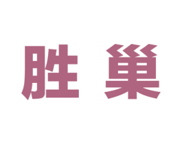 胜巢 第41类教育娱乐商标图样