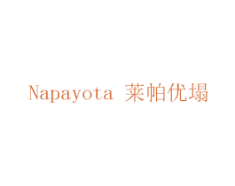 莱帕优塌 NAPAYOTA 第20类家具商标图样