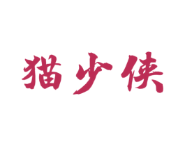 猫少侠 第9类科学仪器商标图样