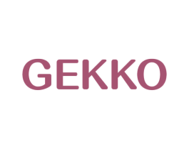 GEKKO 第29类食品商标图样