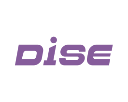 DISE 第27类地毯席垫商标图样
