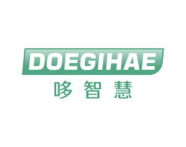 哆智慧 DOEGIHAE 第16类办公工具商标图样