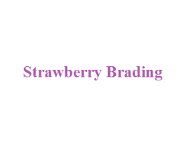 STRAWBERRY BRADING 第3类化妆品商标图样