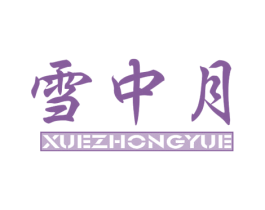 雪中月 第25类服装鞋帽商标图样