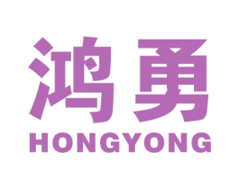 鸿勇 第9类科学仪器商标图样