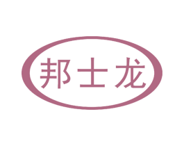 邦士龙 第9类科学仪器商标图样