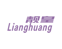 靓皇 第9类科学仪器商标图样