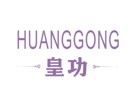 皇功 第9类科学仪器商标图样