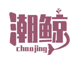 潮鲸 第27类地毯席垫商标图样