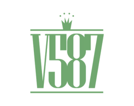 V587 第21类厨房洁具商标图样