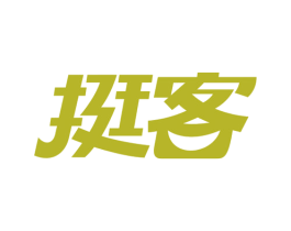 挺客 第9类科学仪器商标图样