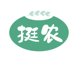 挺农 第9类科学仪器商标图样