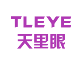天里眼 TLEYE 第12类运输工具商标图样