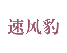 速风豹 第9类科学仪器商标图样