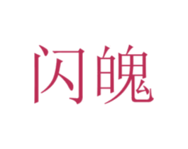 闪魄 第9类科学仪器商标图样