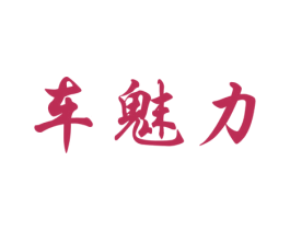 车魅力 第37类建筑修理商标图样
