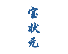 宝状元 第25类服装鞋帽商标图样