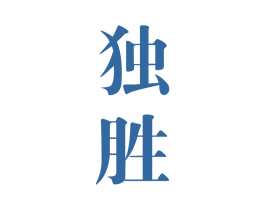 独胜 第28类体育玩具商标图样