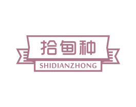拾甸种 第29类食品商标图样