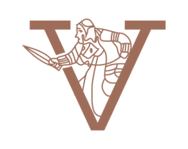 V 第25类服装鞋帽商标图样
