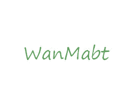 WANMABT 第11类家用电器商标图样