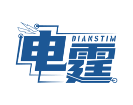 电霆 DIANSTIM 第9类科学仪器商标图样