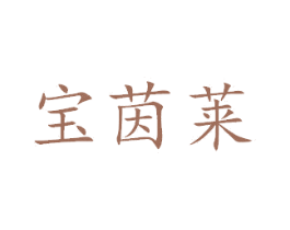 宝茵莱 第28类体育玩具商标图样
