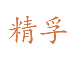 精孚 第12类运输工具商标图样