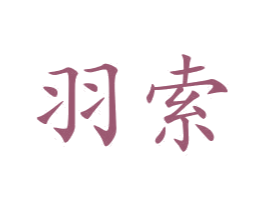 羽索 第10类医疗器械商标图样