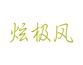 炫极风 第41类教育娱乐商标图样