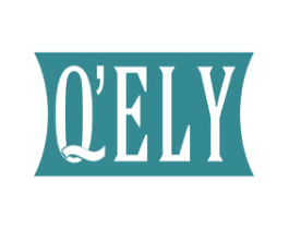 Q'ELY 第3类化妆品商标图样