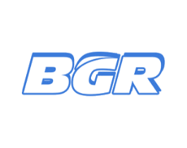 BGR 第1类化学原料商标图样