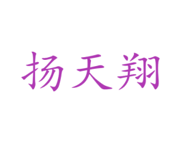 扬天翔 第25类服装鞋帽商标图样