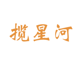 揽星河 第25类服装鞋帽商标图样