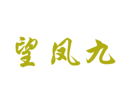 望凤九 第25类服装鞋帽商标图样