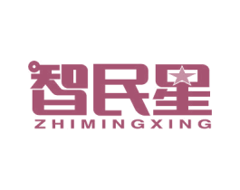 智民星 第41类教育娱乐商标图样