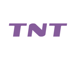 TNT 第27类地毯席垫商标图样