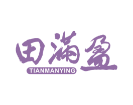 田满盈 第30类小食配料商标图样