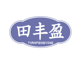 田丰盈 第30类小食配料商标图样