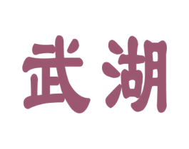 武湖 第36类金融物管商标图样