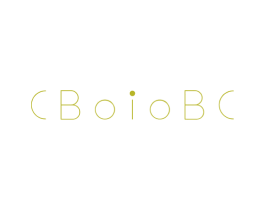 CBOIOBC 第26类花边配饰商标图样