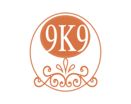 9K9 第3类化妆品商标图样