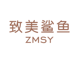 致美鲨鱼 ZMSY 第25类服装鞋帽商标图样