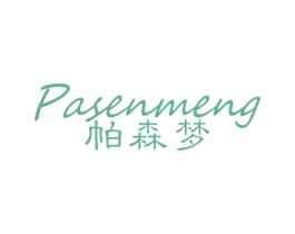 帕森梦 第9类科学仪器商标图样