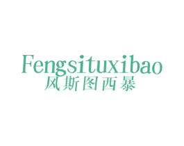 风斯图西暴 第25类服装鞋帽商标图样